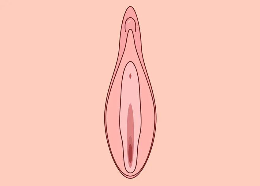 Vaginal Rejuvenation Before After