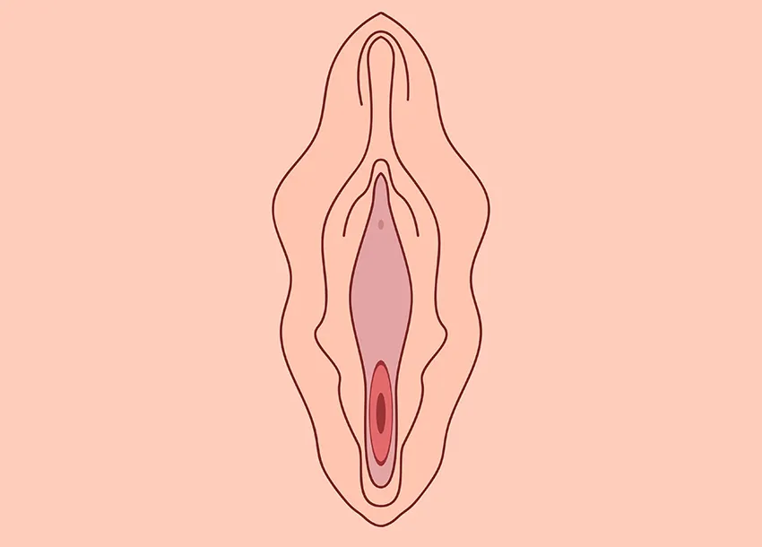 Vaginal Tightening Before After