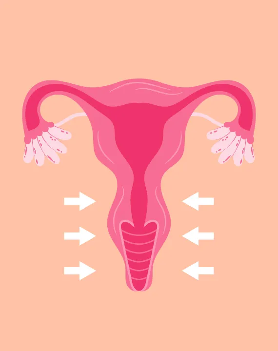 Vaginal Tightening Treatment Vaginal Tightening Treatment
